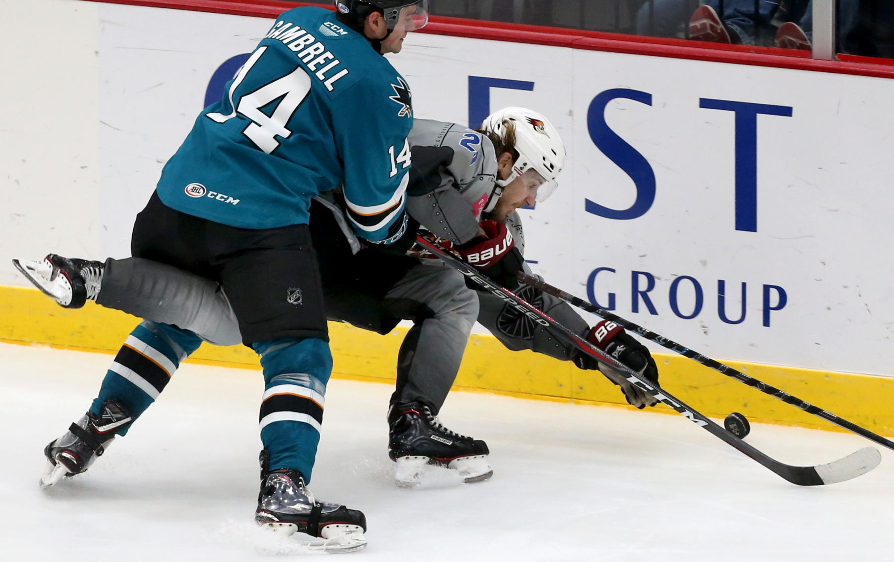 Roadrunners vs San Jose
